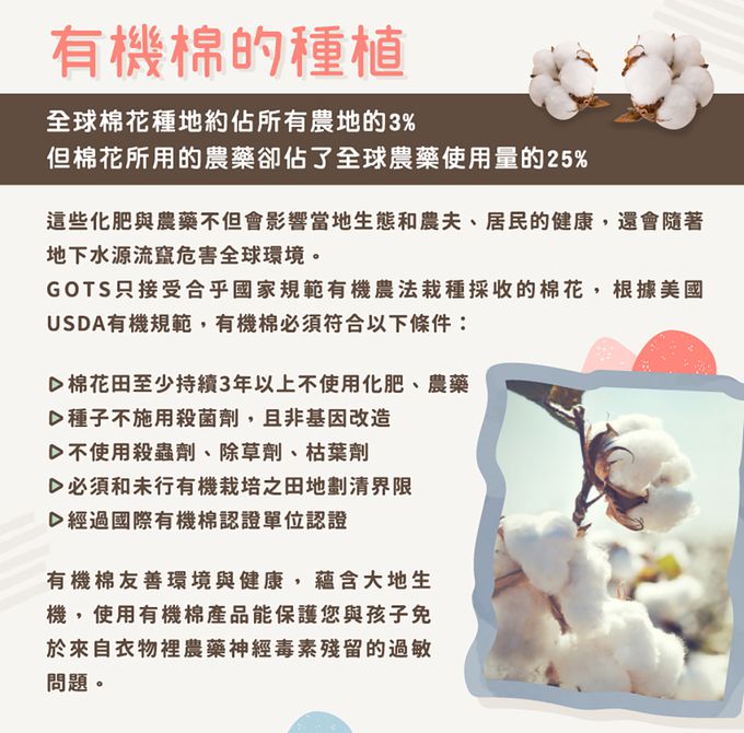 比利時 Trixie - 有機棉安撫玩偶(小)-威力恐龍