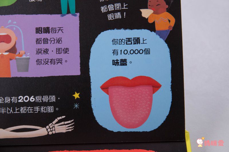 ★打造聰明好腦袋★益智翻翻小百科 / 童趣推拉轉操作書大集合！