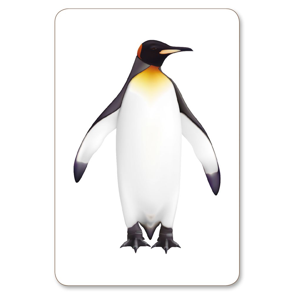 ㄅㄆㄇ拼拼卡(105張:64張注音卡+37張字詞卡+結合韻)