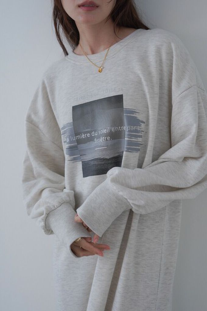 日本 Bab - 前後2way魚尾下擺休閒印花長袖洋裝-灰棕