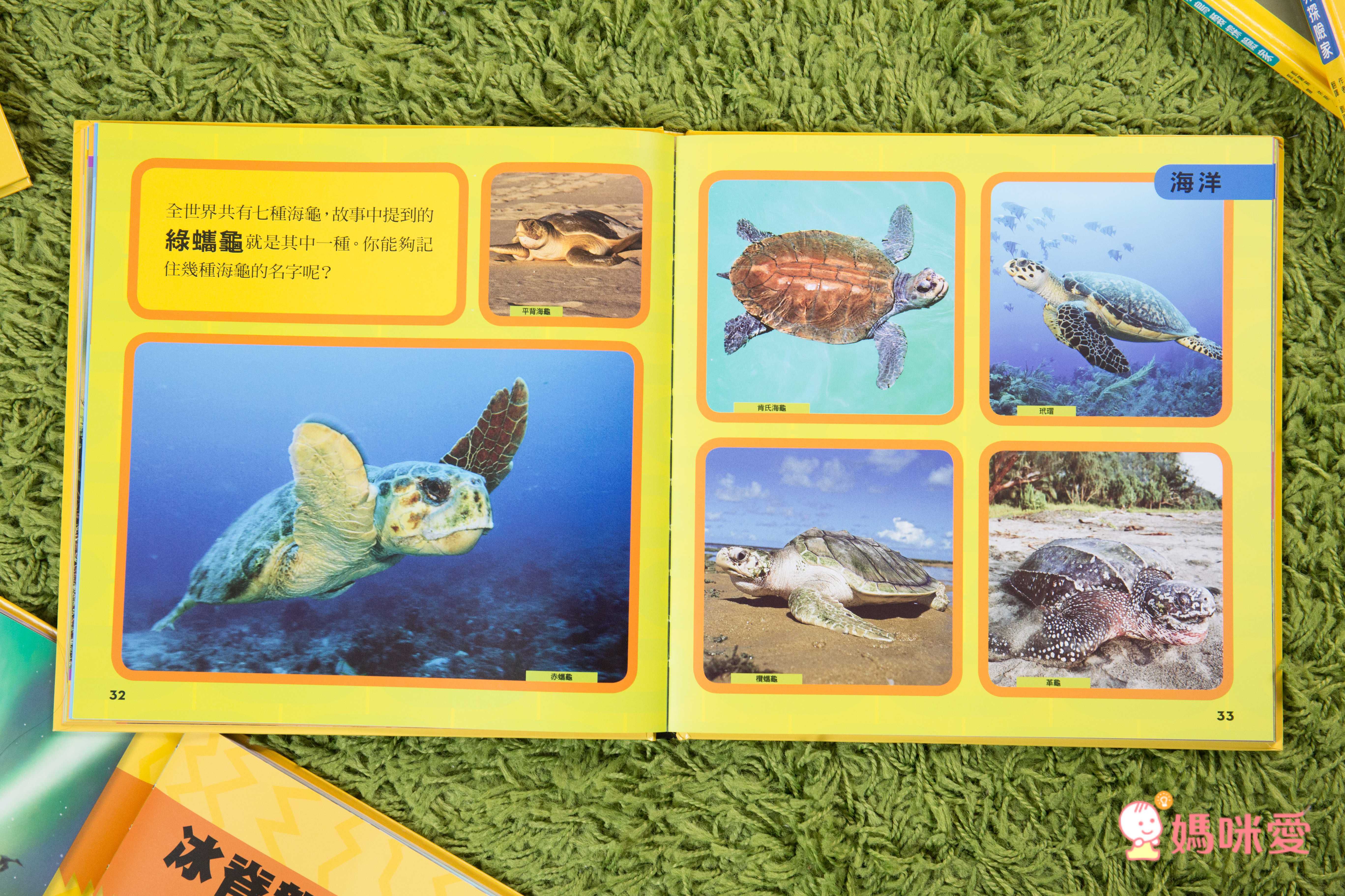 小小動物探險家 (精裝 / 128頁 / 全彩印刷)