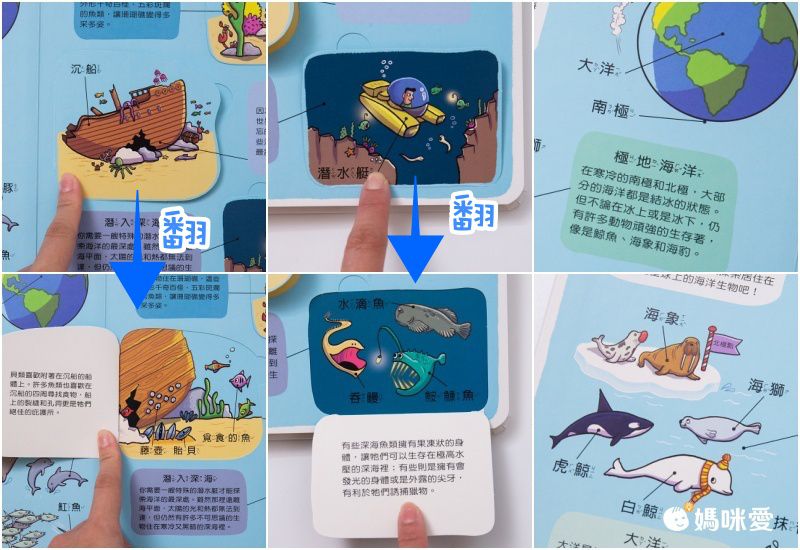 翻！身體-圖解百科翻翻書