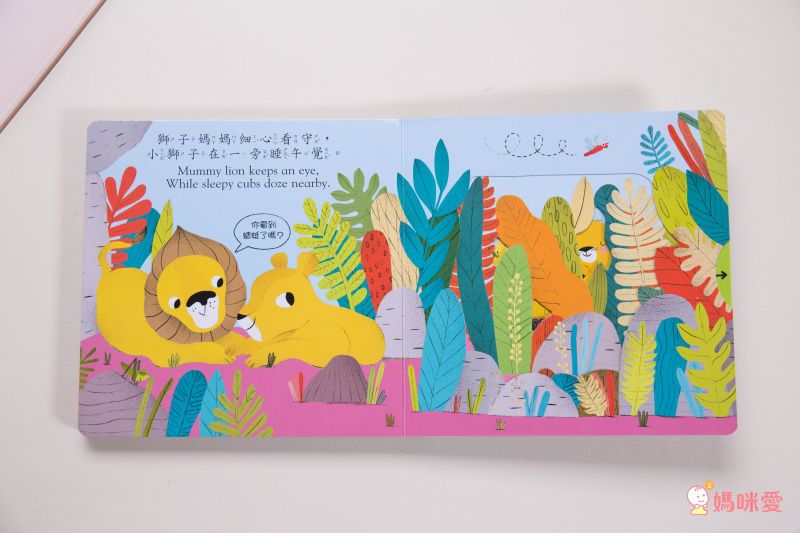 ★打造聰明好腦袋★益智翻翻小百科 / 童趣推拉轉操作書大集合！