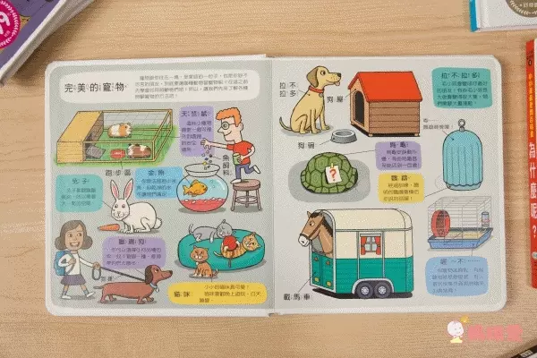 翻！身體-圖解百科翻翻書