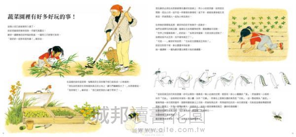 食農教育小田園繪本套書（蔬菜是怎麼長大的呀？ + 水果是怎麼長出來的呢？）