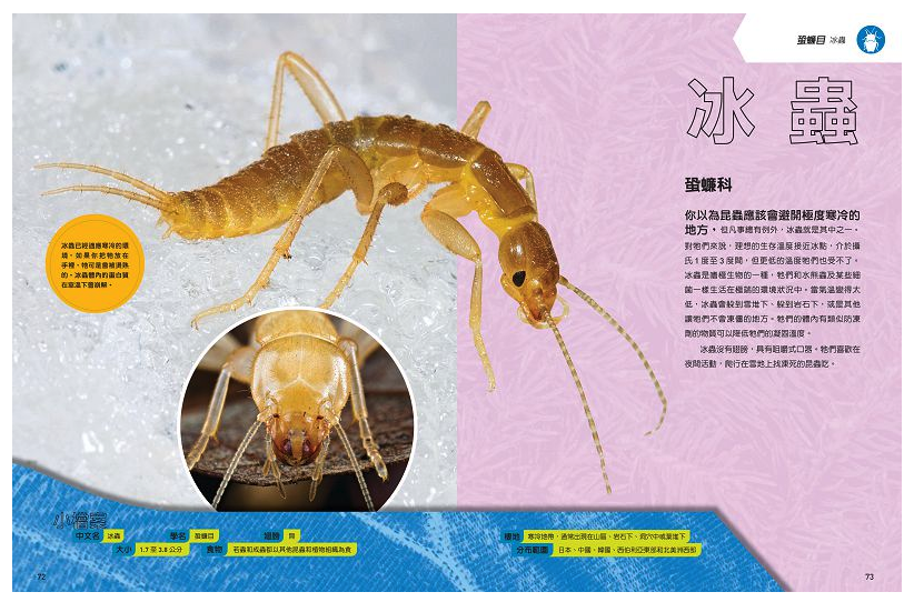 國家地理終極昆蟲百科 (精裝 /272頁 /全彩印刷)