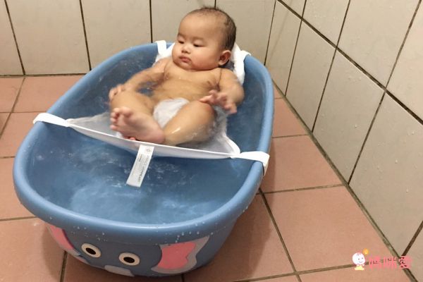 美國 PRINCE LIONHEART