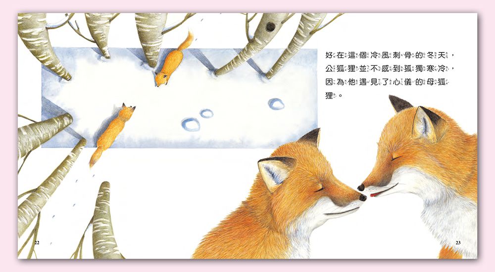 小牛頓科學教育有限公司 - 我家自然小百科-平裝-全彩 (17.3cm x 18.5cm)-60冊/2-6歲