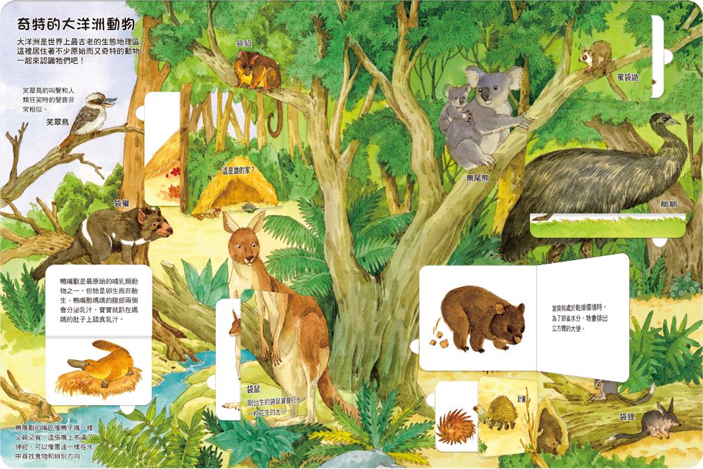 我的STEAM翻翻書：無奇不有的動物-內含7個場景+53個翻頁小機關