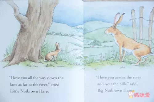 收藏英美大師繪本！【Mo Willems & Julia Donaldson】經典名著♕