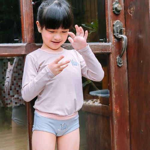 女童三角褲-憨厚老實的白鼻心-灰藍