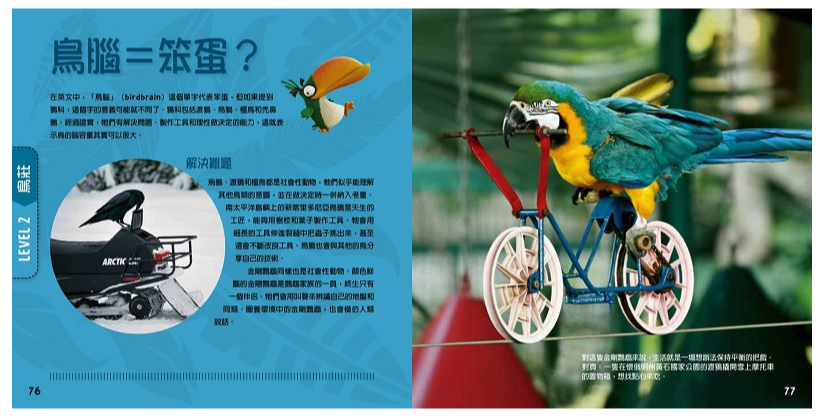 憤怒鳥：銳德的大冒險 (平裝 / 160頁 /全彩印刷)