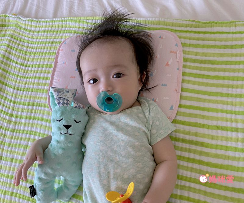 日本 Combi - Airpro水洗空氣-平枕-小山藍 (30x45x3cm)-3個月起