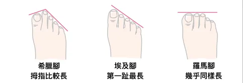 尋找灰姑娘！日本製♡輕量柔軟美腿鞋