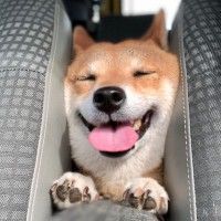 用戶頭像