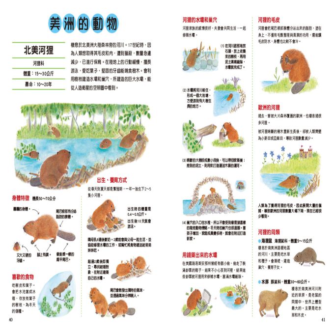 野生動物生態繪本