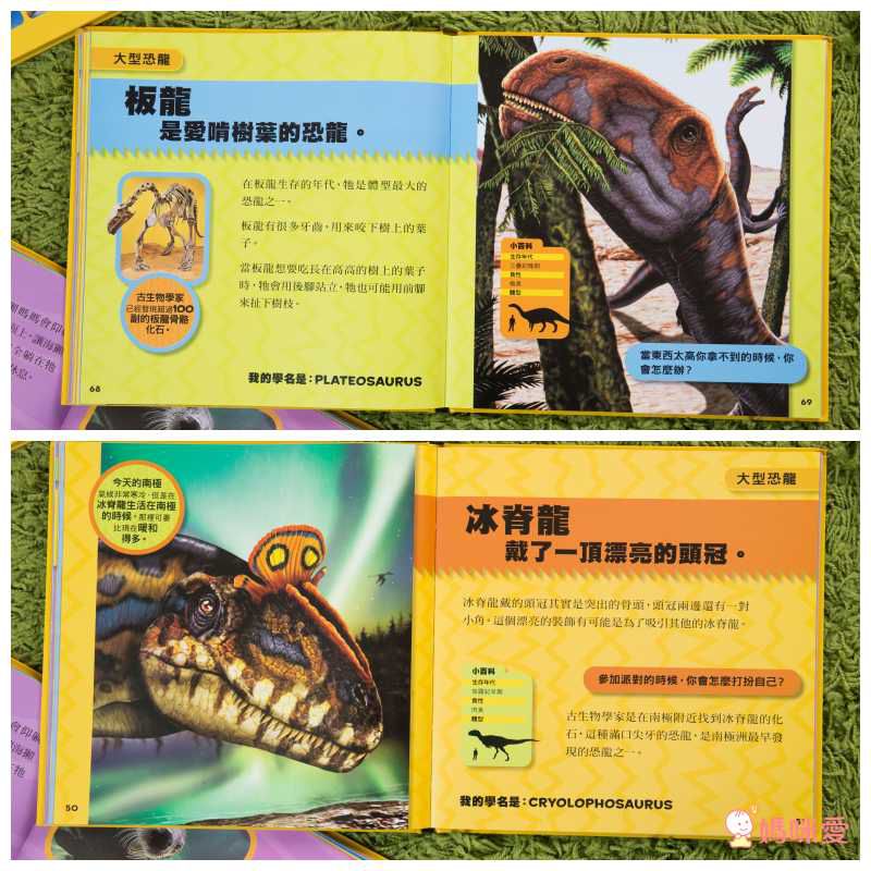 小小恐龍探險家 (精裝 / 128頁 / 全彩印刷)