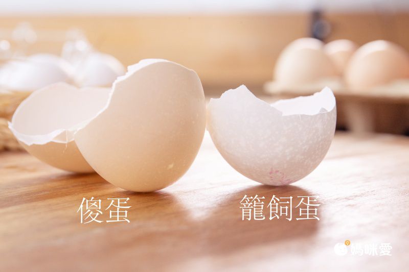 傻蛋-友善放牧蛋 - 紅羽土雞蛋-1箱/40顆