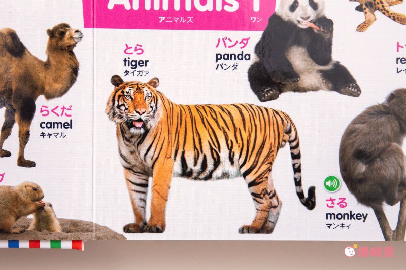 英日雙語圖解點讀字典(1000字)