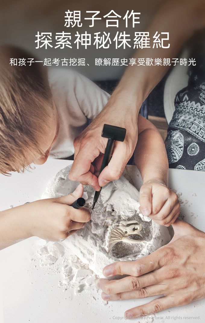 MiDeer - 考古挖掘套組-翼龍