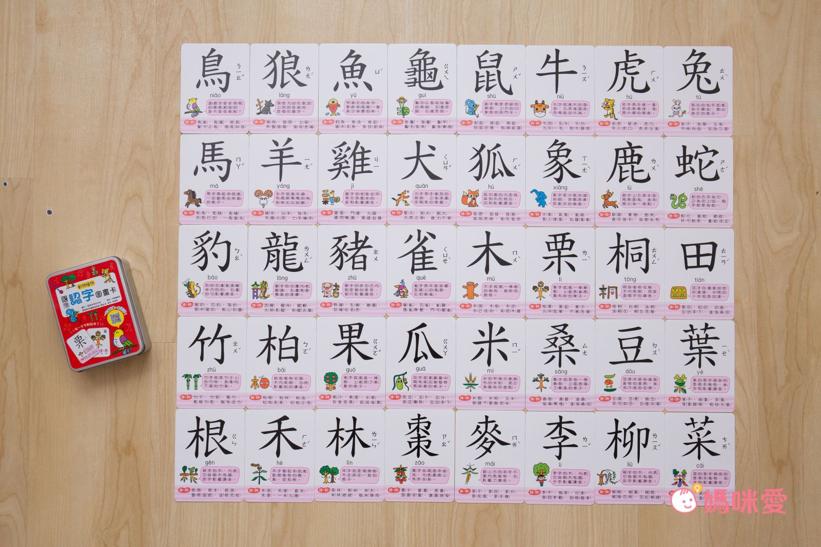 記憶認字圖畫卡：動物植物