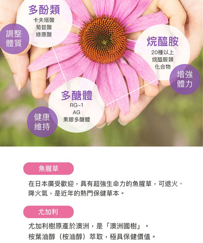 花賜康 - 紫錐花魚腥草EX噴劑 (單入)-30ml/瓶