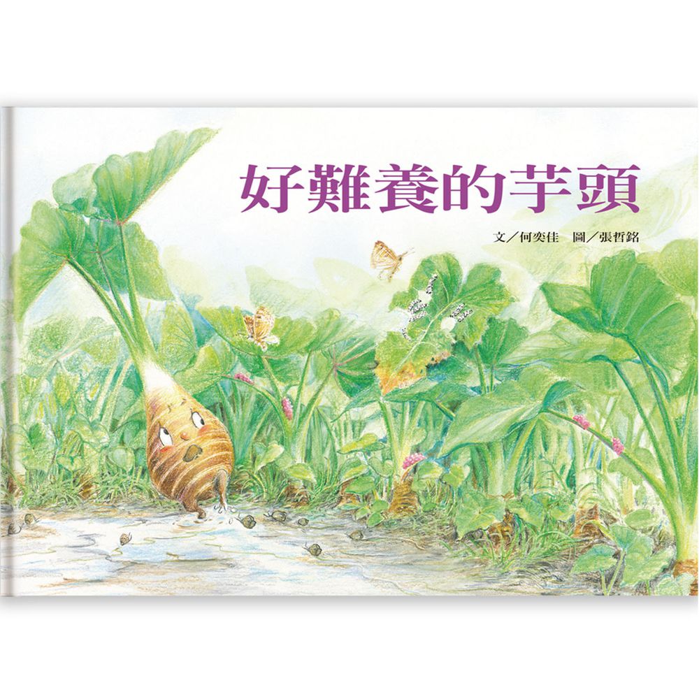 好難養的芋頭