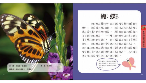 樂智屋 - 我的第一本昆蟲博士小百科NEW（內含小百科+12款昆蟲學習模型及3個配件）