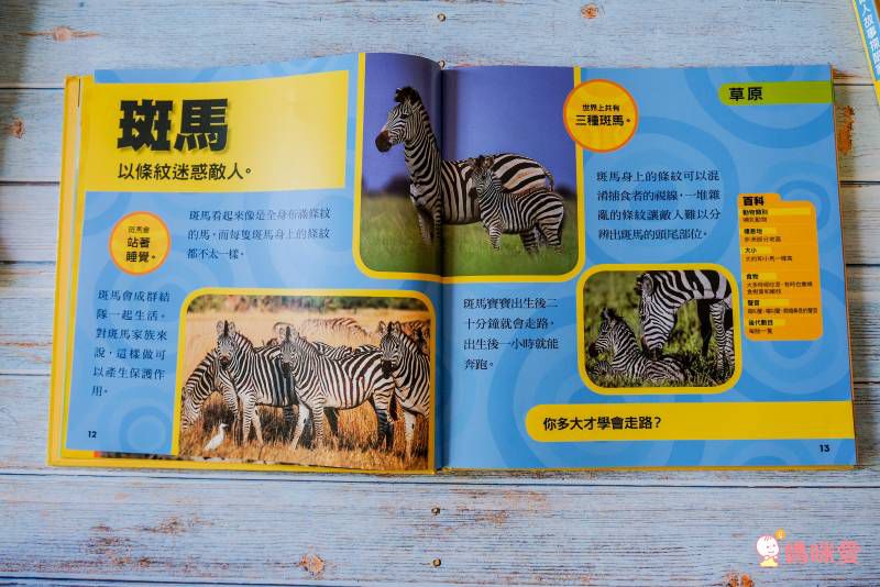 小小動物探險家 (精裝 / 128頁 / 全彩印刷)