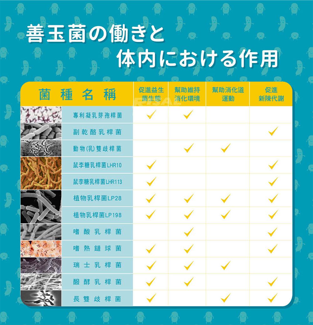 小兒利撒爾Risal - 機能活菌12-30包/盒 x兩盒組(無添加砂糖升級版)-30包/盒