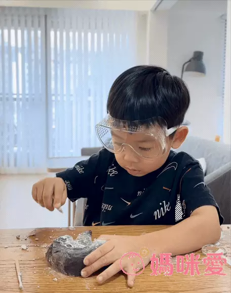 NATIONAL GEOGRAPHIC - 國家地理頻道 恐龍化石挖掘套組