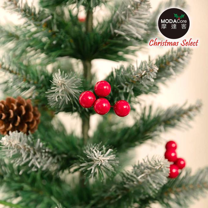 MODACore 摩達客 - 摩達客耶誕-55cm頂級優雅紅果植雪松果原木底座聖誕樹裸樹/不含配件/本島免運費
