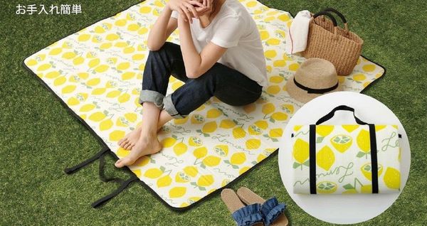 ✿ CP值爆棚！日本平價質感野餐墊＆保冷袋～ ✿