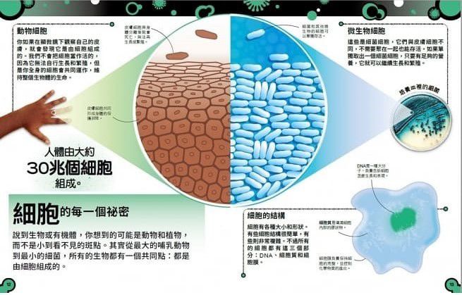 小心，這本書有細菌！：認識細菌、病毒和真菌的強大微生物王國 (精裝 / 72頁/全彩印刷)