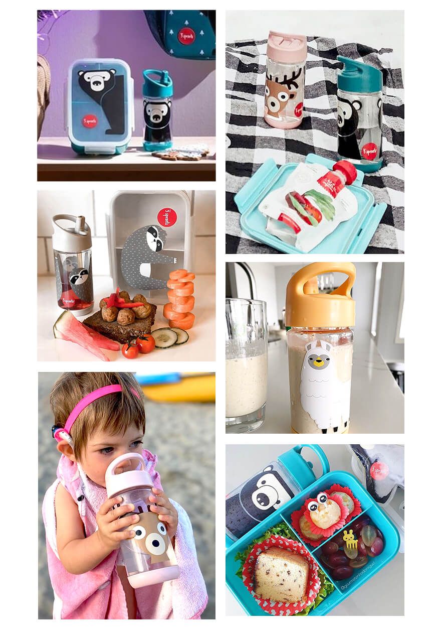 加拿大 3 Sprouts - 冷水壺-貓頭鷹