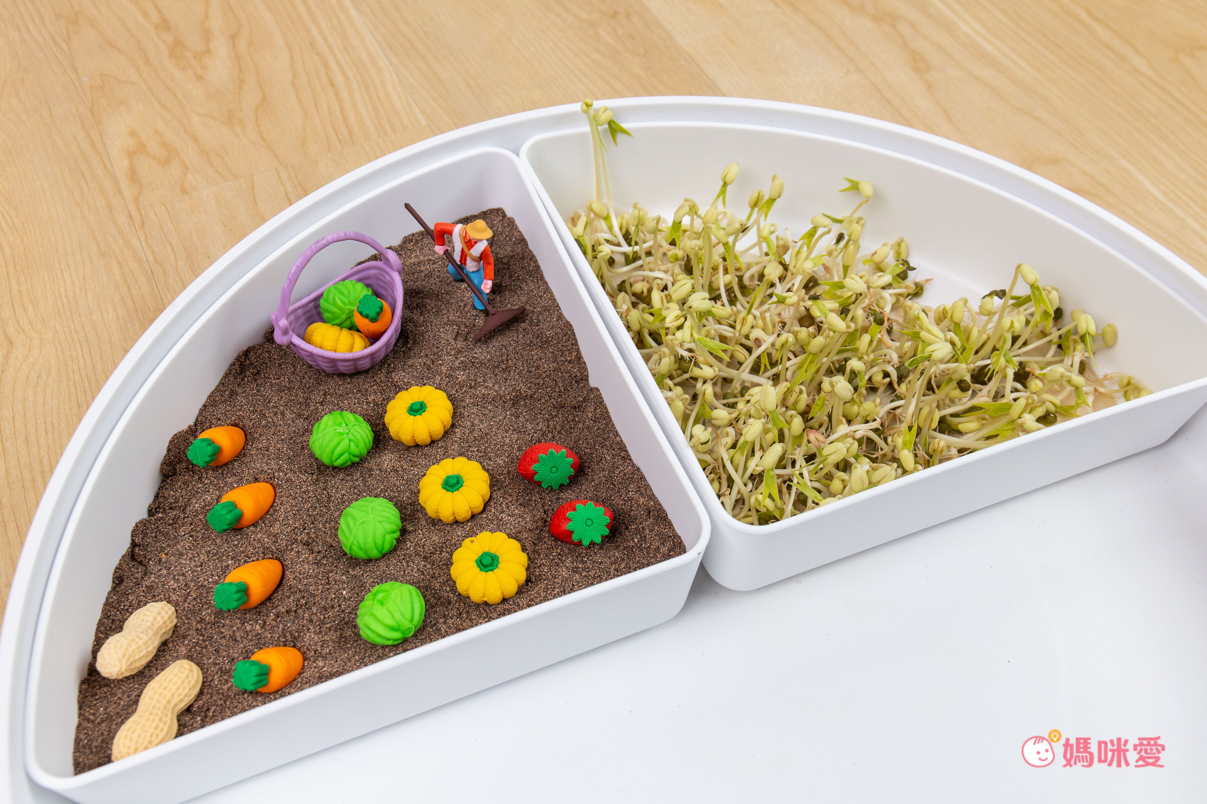 超激推5in1感官盆【韓國POKI趣玩盆】啟發創意力