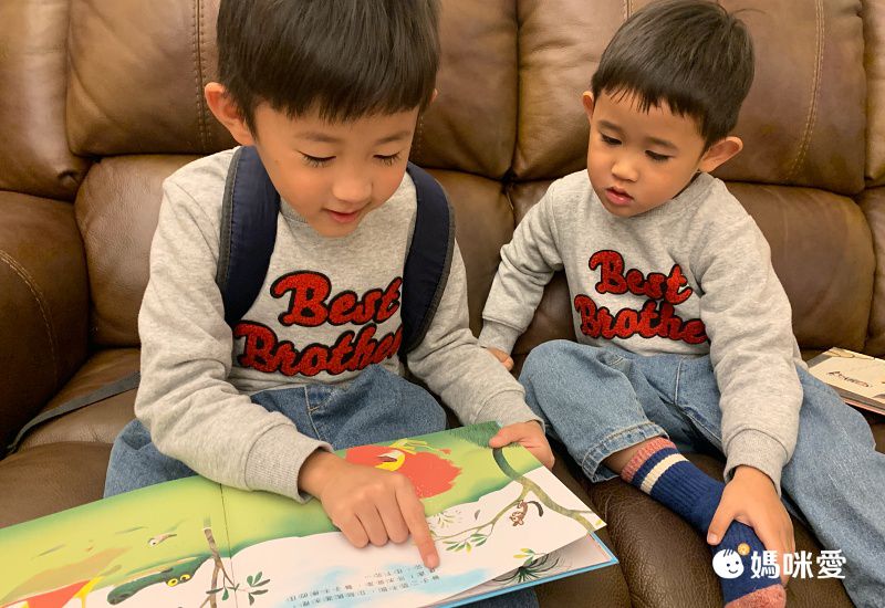 《不會游泳的獅子》學習克服內心的恐懼