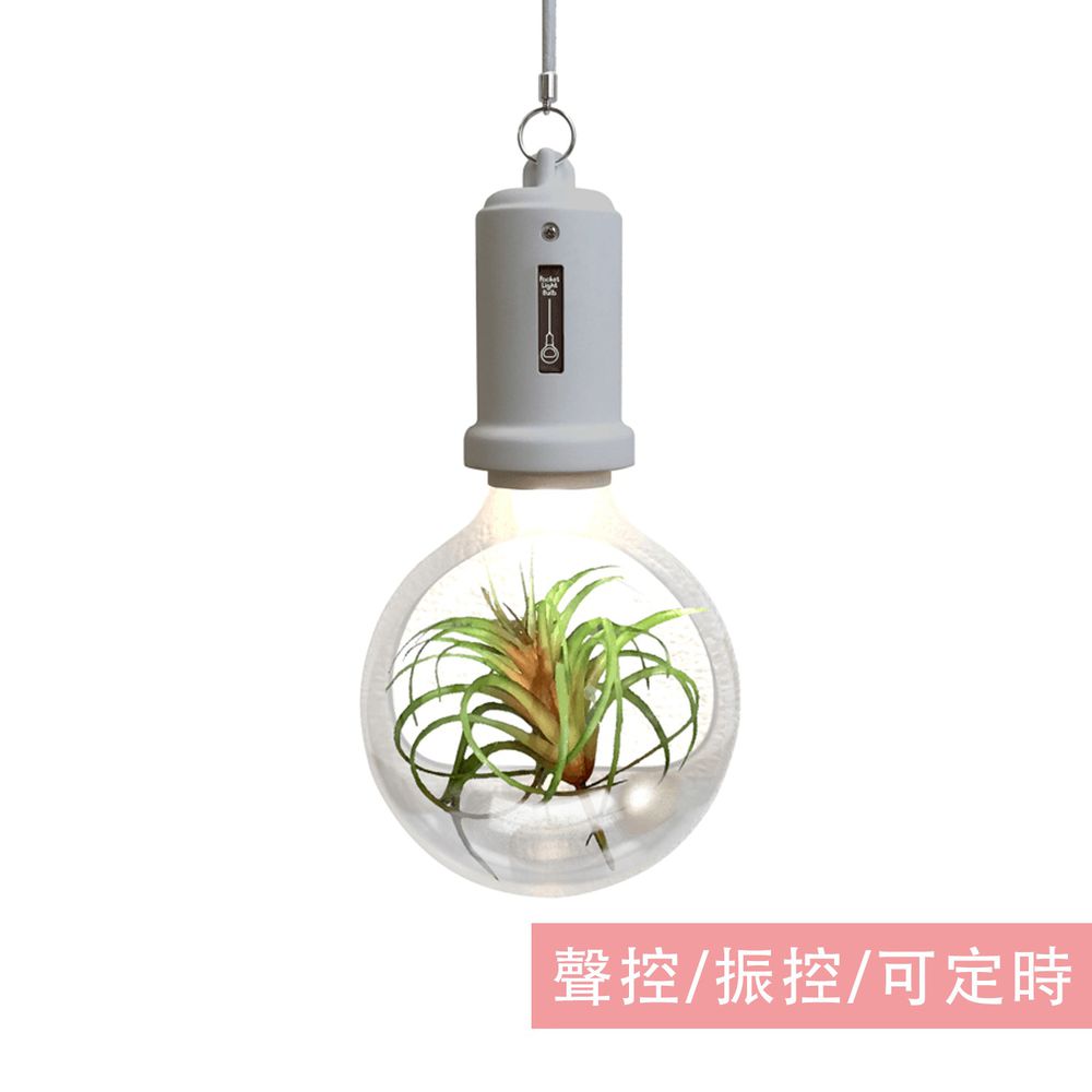 日本 TOYO CASE - LED 夜燈壁飾-燈泡小植物系列-淺灰 (約12x6x22cm)