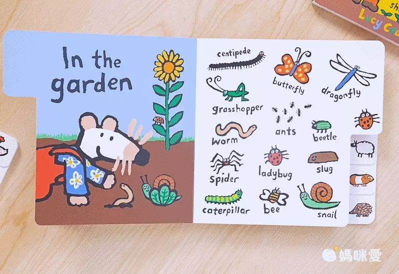 小鼠波波陪你慶生、過聖誕！最應景的外文遊戲書