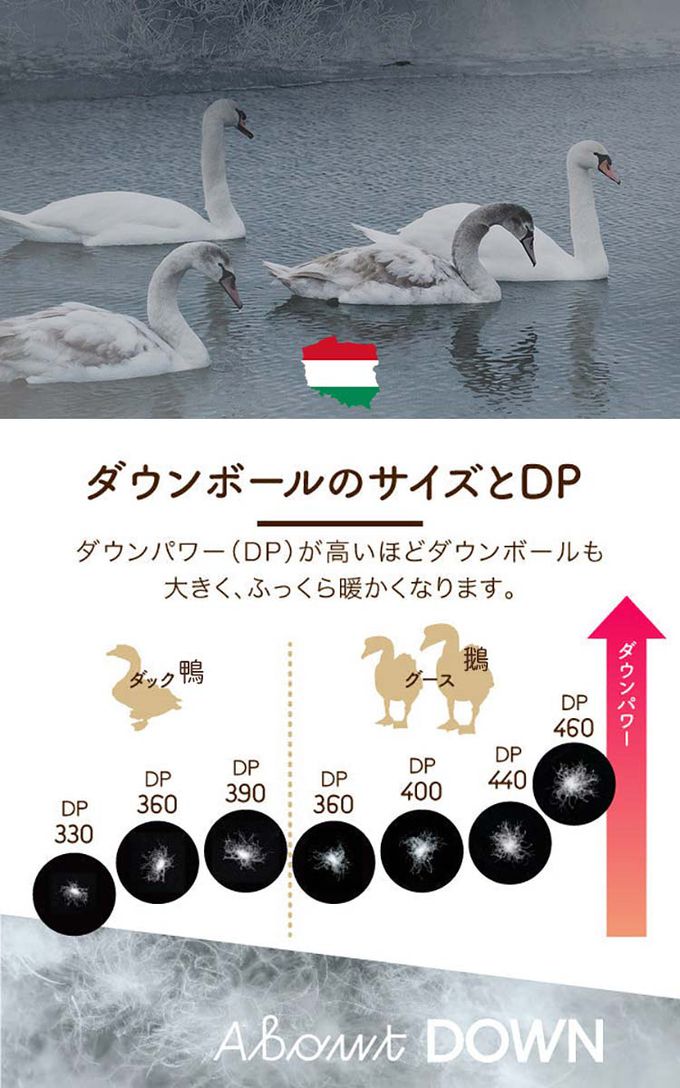 ROMANCE 小杉 - 日本製匈牙利鵝絨羽絨被150x210cm