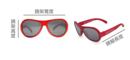 瑞士 SHADEZ - 成人偏光夾片-霧金