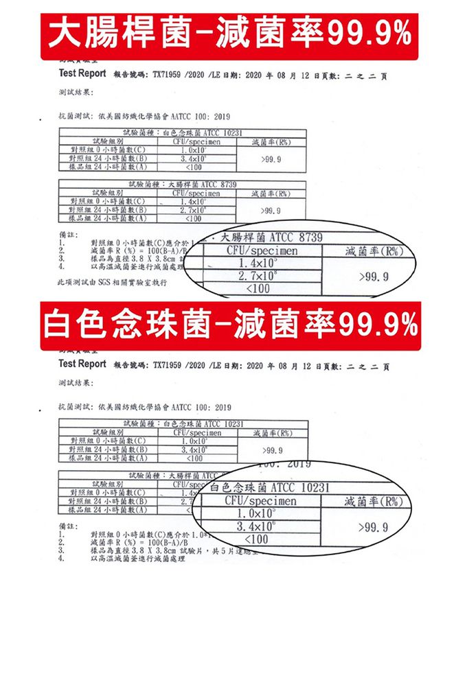 香茉 CHANMODE - 雲端呼吸冰透蠶絲涼內褲-白色/灰色/綠色/藍色/咖啡色/粉紅色