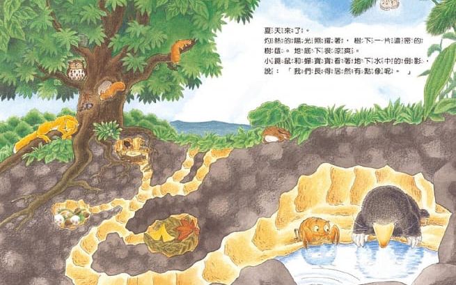 小鼴鼠和蟬寶寶