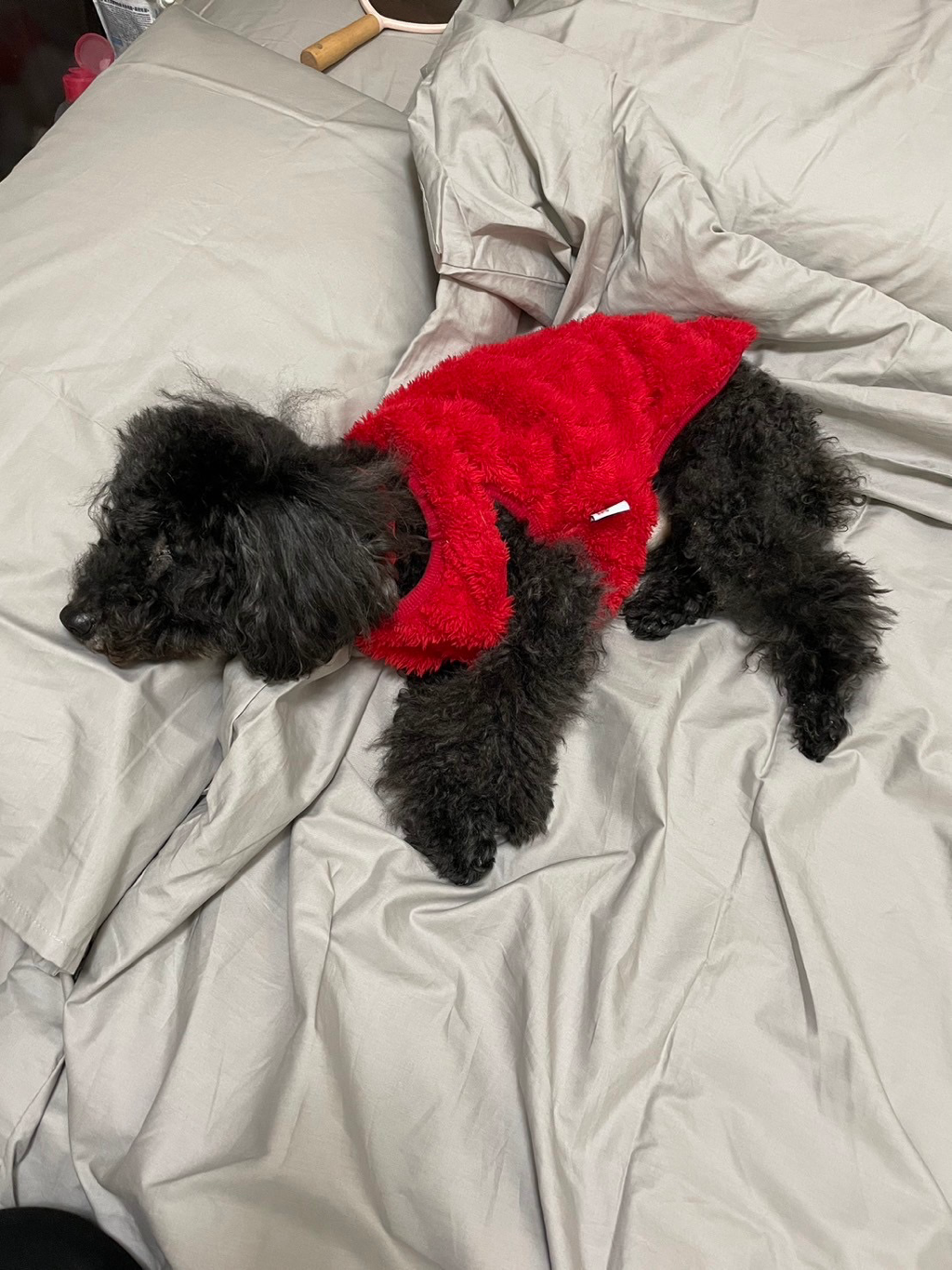 德國EMMA的保潔墊真的是育嬰必備神器!