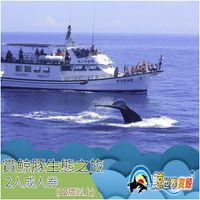 鯨世界 - 賞鯨豚生態之旅成人雙人券