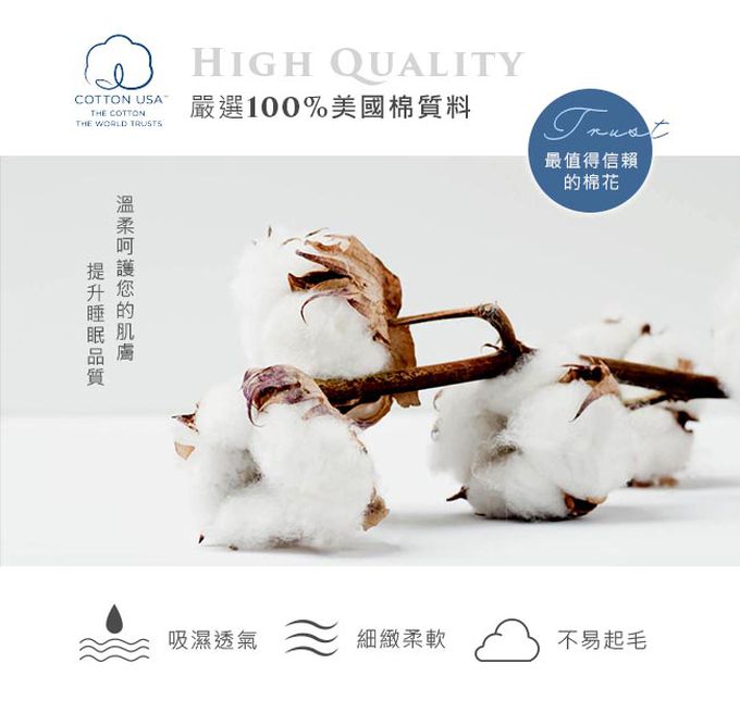 鴻宇 HongYew - 100%美國棉兒童鋪棉兩用被-小松嘉比-135x150cm