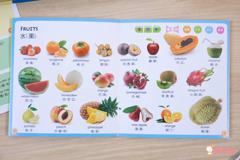 双美生活文創 - ABC點讀學習寶盒-波波狗點讀筆*1隻＋ABC認知圖典*1本＋圖鑑點讀書*1本＋ABC點讀掛圖*1張＋注音點讀卡*1張