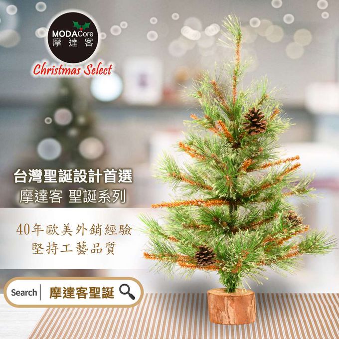 MODACore 摩達客 - 摩達客耶誕-60cm高級開花黃枝松針原木底座聖誕樹裸樹/不含配件/本島免運費