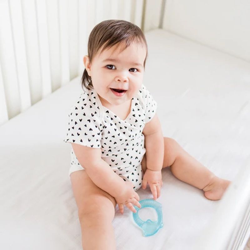 美國 green sprouts - 小綠芽冰鎮冷凍型按摩/舒緩疼痛固齒器_動物造型2入組-刺蝟寶寶