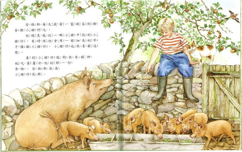 風境農場動物繪本-精裝6冊、故事點讀面板、導讀手冊-精美書架式書盒